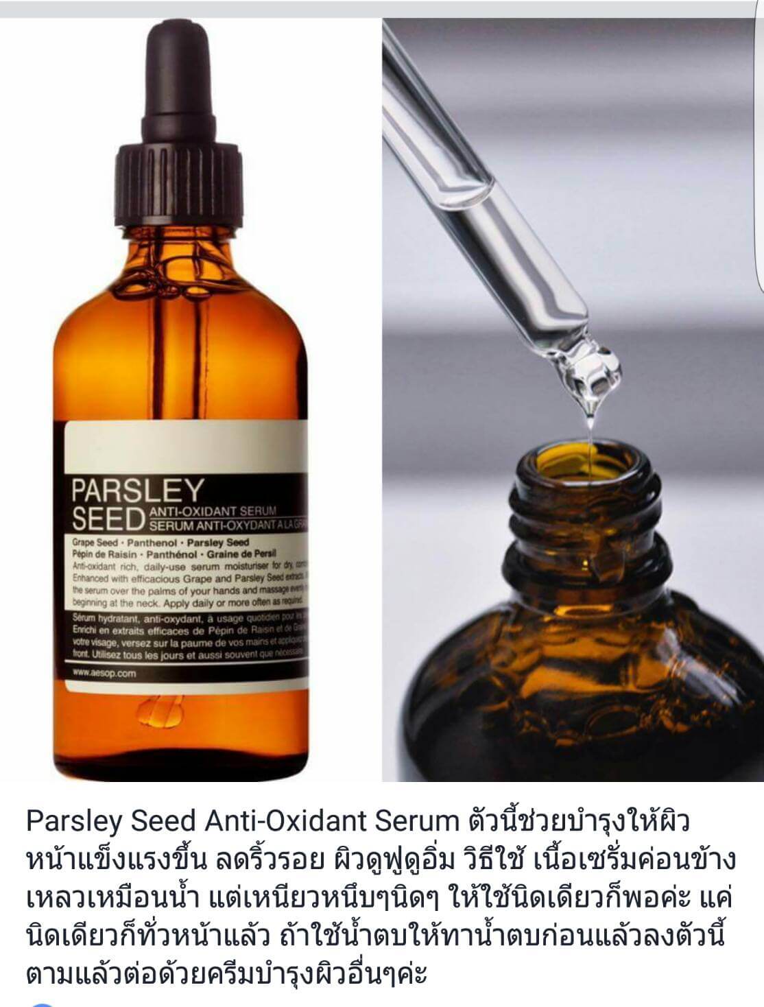 aesop, aesop รีวิว, aesop ราคา, aesop parsley seed anti-oxidant serum รีวิว, aesop parsley seed anti-oxidant serum, aesop ตัวไหนดี, aesop กระชับรูขุมขน, aesop ขาย, aesop ขายที่ไหน, ซื้อ aesop online, aesop ดีไหม, aesop ในไทย, 