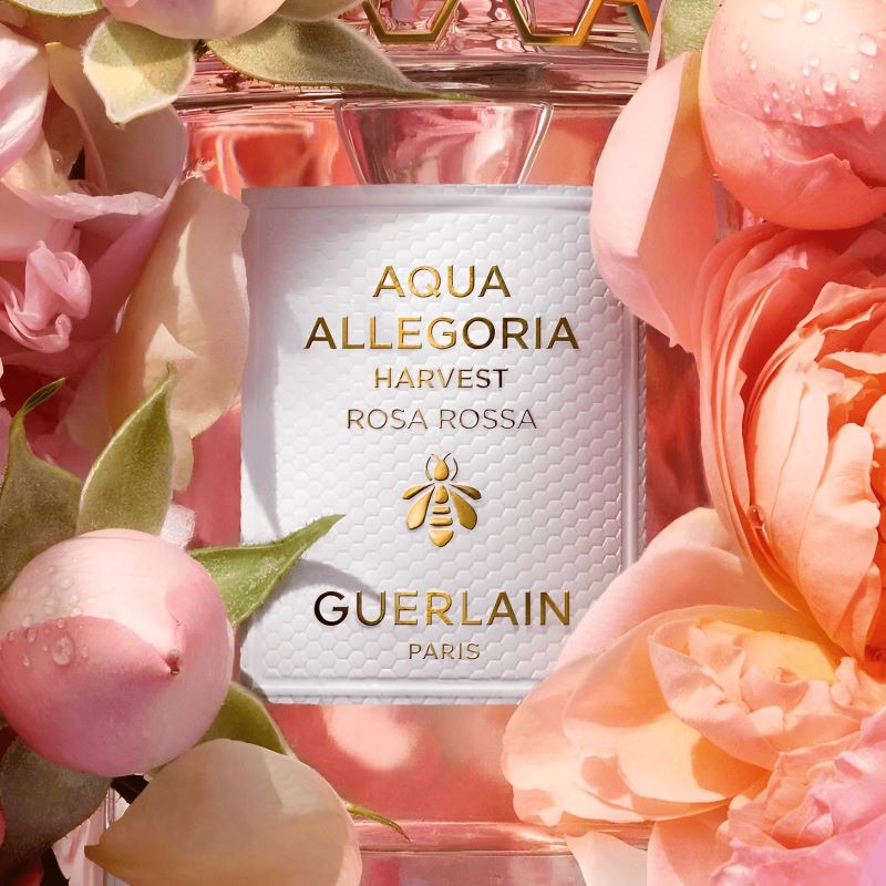 Guerlain Aqua Allegoria Rosa Rossa EDT 7.5ml , Guerlain Aqua Allegoriika Rosa Rossa ราคา ,  GUERLAIN น้ำหอม ,  Review Guerlain , GUERLAIN น้ำหอม ราคา , GUERLAIN น้ำหอม รีวิว